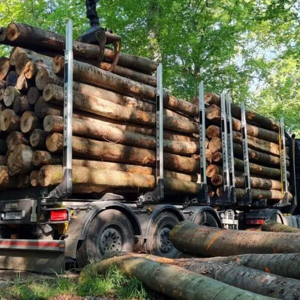 Nadelholz-Stammholz – Komplette LKW-Ladung 50 Raummeter – PEFC-zertifiziert